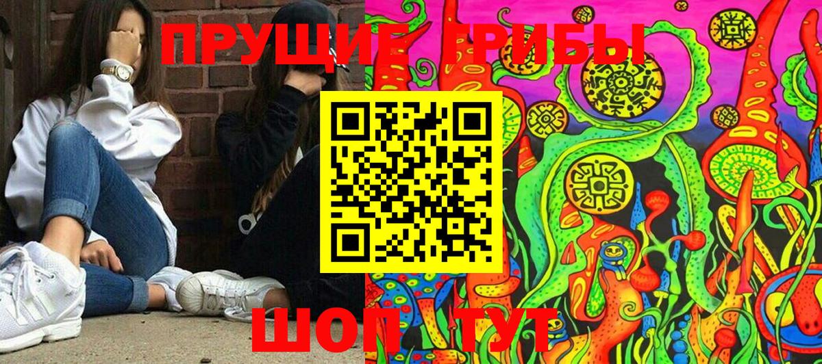 Галлюциногенные грибы Psilocybe  Псилоцибиновые грибы прущие грибы  Вход с VPN  Междуреченск 